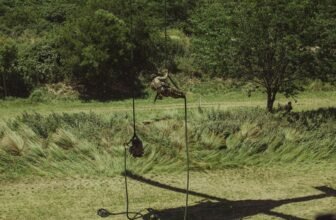 choosing the right drill